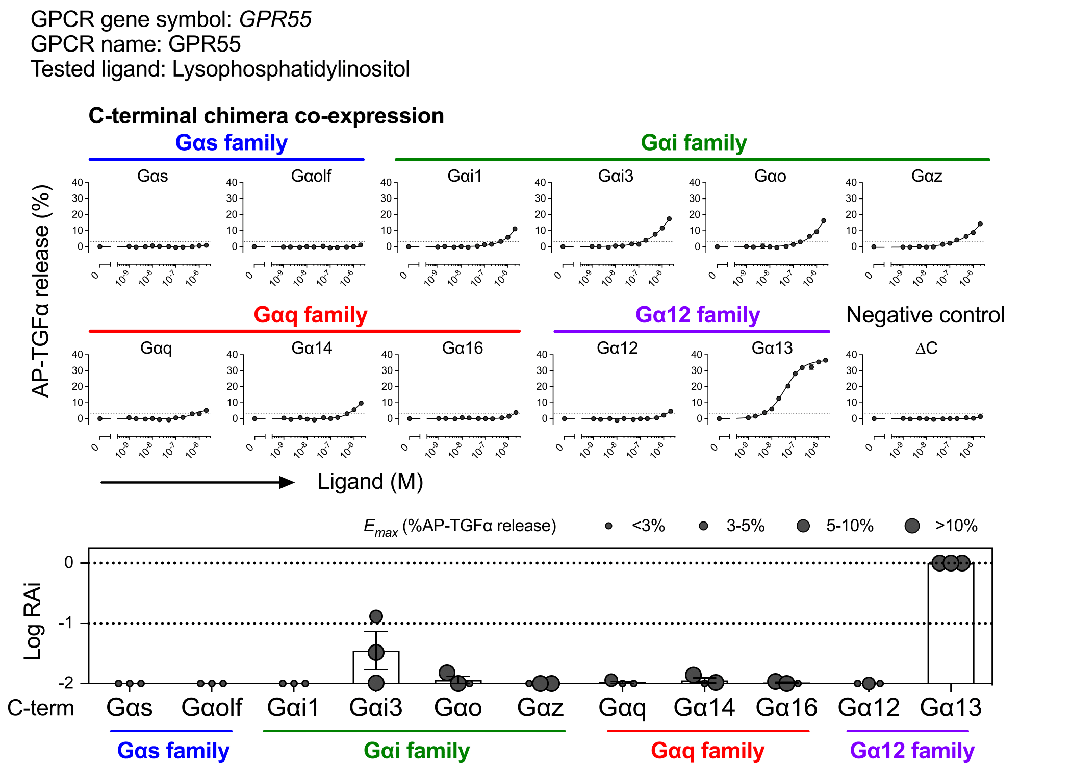 GPCR