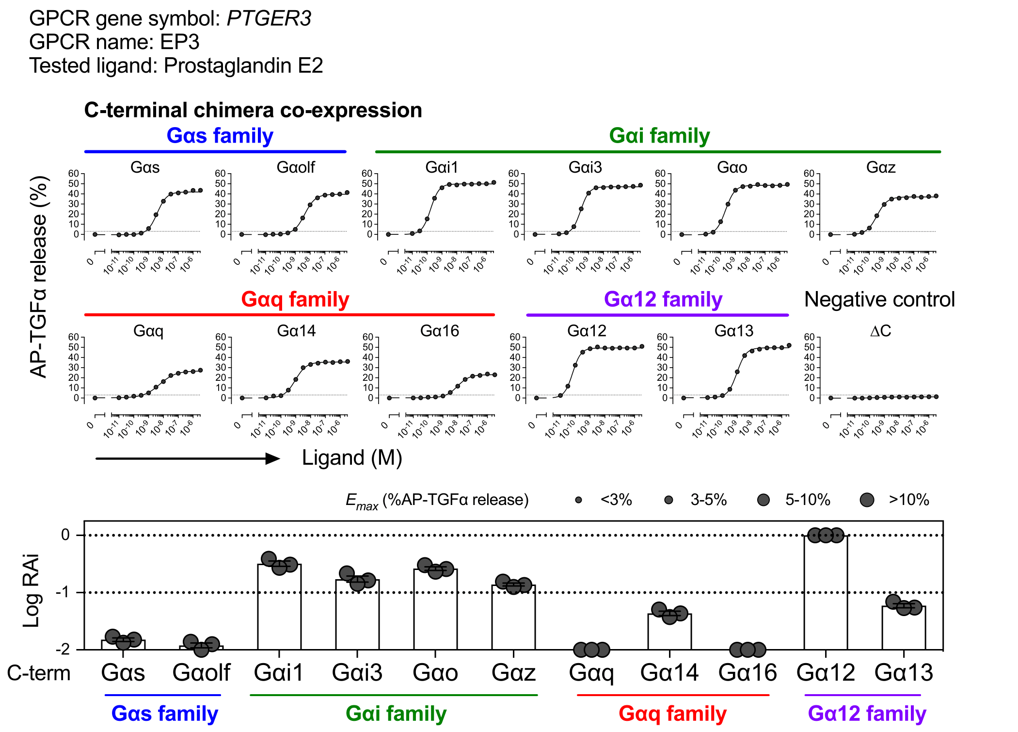 GPCR